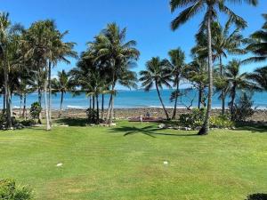a beach with palm trees and palm trees at The Resort at Dolphin Heads in Mackay
