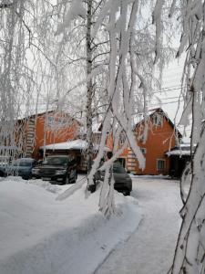 pokryte śniegiem drzewo z samochodami zaparkowanymi przed domem w obiekcie Patio MiniHotel w mieście Togliatti