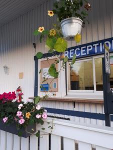 Vstupní hala nebo recepce v ubytování Camping Tornio
