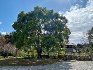 un árbol en medio de un patio con un edificio en Simple Life, en Yuli