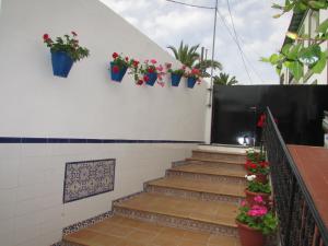 un escalier avec des plantes en pot sur un mur dans l'établissement El Manantial, à Malaga