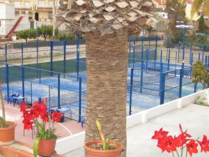 una palmera frente a una pista de tenis en El Manantial, en Málaga