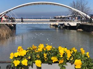 a bridge over a river with yellow flowers at Yalova_Merkez in Yalova