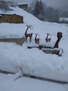 Chalet Génépi a l'hivern