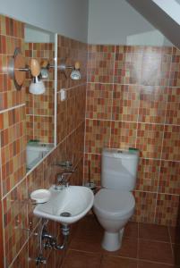 łazienka z toaletą i umywalką w obiekcie Amber Cottage w Jurmale