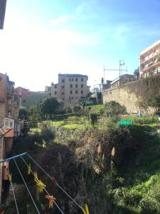 a view of a garden in a city with buildings at la casa di Camilla in Sori