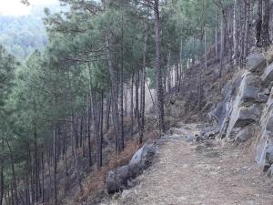 Naturlandskabet i nærheden af den private indkvartering + 9 billeder