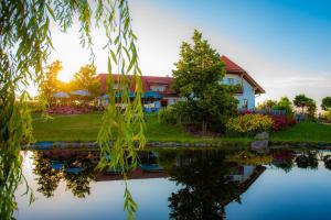 a house with a pond in front of it at Hoamat in Haibach ob der Donau