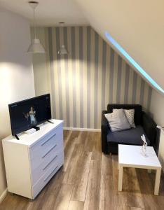 TV a/nebo společenská místnost v ubytování Dom Tkacki - Apartamenty - Pokoje - Jacuzzi