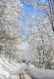 a snow covered road with snow covered trees at Hotel Iadolina in Stana de Vale