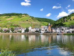 a town on the shore of a body of water at Ferienhaus Alte Mühle in Zell an der Mosel