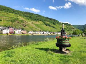 Galeriebild der Unterkunft Ferienhaus Alte Mühle in Zell an der Mosel