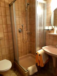 a bathroom with a shower and a toilet and a sink at Landgasthof Heldenberg in Nenningen