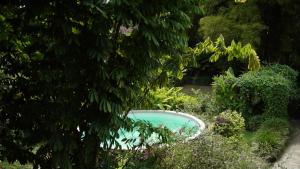 Swimming pool sa o malapit sa Finca La Argelia