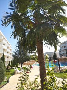 Piscina de la sau aproape de Sunny Apartment relax & spa
