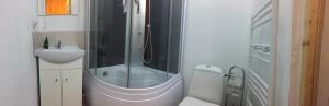 La salle de bains est pourvue d'une douche et d'un lavabo. dans l'établissement Casa dintre Brazi, à Colibiţa