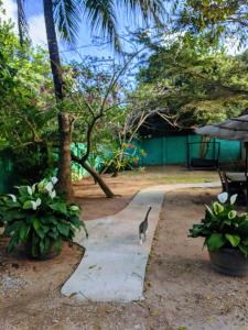 a cat standing on a concrete slab in a yard at Chales Jack & Jill in Pipa