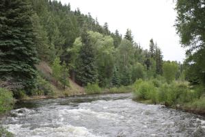 Ảnh trong thư viện ảnh của Otter's Place ở South Fork