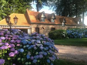 Clos Celeste - campagne d Etretat avec piscine et spa外面的花园