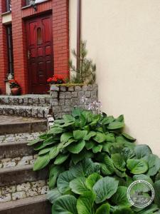 Gallery image of BAJA Gospodarstwo Agroturystyczne in Swornegacie  +33 photos