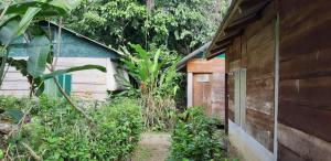 a wooden house with a garden next to a building at Centro Ecoturistico Ya´ajche in Lacanjá