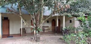 a house with a tree in front of it at Centro Ecoturistico Ya´ajche in Lacanjá