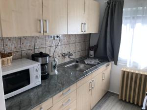 Kuchyňa alebo kuchynka v ubytovaní Leander Apartman Balatonakali