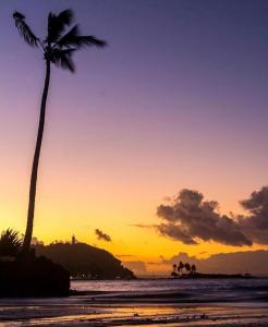 una palmera en una playa con puesta de sol en Pousada Mar Azul Morro, en Morro de São Paulo