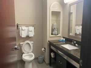 Gallery image of Holiday Inn Express Hotel and Suites Fort Stockton by IHG in Fort Stockton