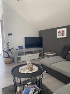 Μια τηλεόραση ή/και κέντρο ψυχαγωγίας στο AQUA-TUHELJ- SKY