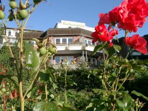 Zahrada ubytování Hotel Zur schönen Aussicht