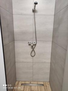 Ένα μπάνιο στο Pokoje nad Regalicą +63 φωτογραφίες