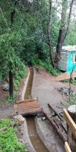 a wooden bridge over a stream in the woods at Las zarinas 2 in Trapiche