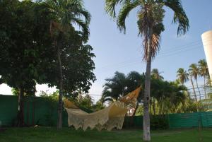 uma rede pendurada em duas palmeiras num quintal em Sunshine Cumbuco em Cumbuco