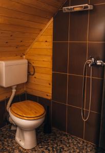 a bathroom with a toilet with a wooden ceiling at Apartman Pustolov - Stara planina in Crni Vrh