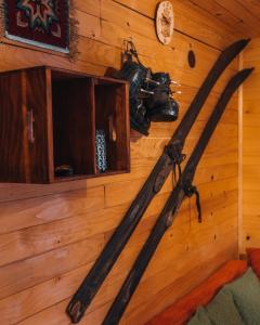 a pair of skis on the wall of a room at Apartman Pustolov - Stara planina in Crni Vrh