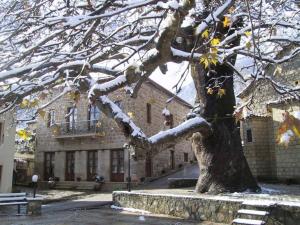 un árbol cubierto de nieve frente a un edificio en Armonia Hotel, en Kefalari