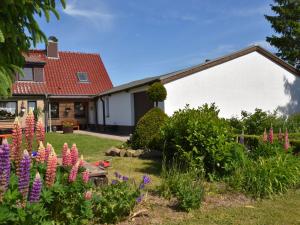 Zahrada ubytování Gemütliche Ferienwohnung mit Garten in Robertsdorf