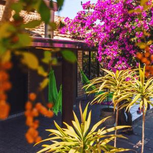 a group of plants and flowers on a fence at Pousada Uluwatu, Praia do Rosa in Praia do Rosa