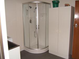 a shower with a glass enclosure next to a cabinet at The Lakehouse Bach - Lake Rotoiti Bach in Rotoiti