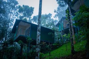 a house in the middle of the forest at Edens Munnar in Munnar