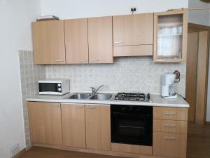 a kitchen with a sink and a stove at Apartment Irsara in Arabba