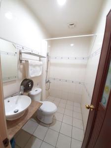 a small bathroom with a toilet and a sink at 墾丁大街 皇佳旅店 in Kenting