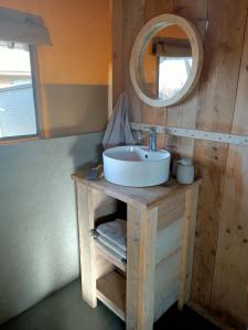 een badkamer met een wastafel en een spiegel bij Hoeve Linnerveld 