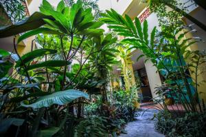 a room filled with lots of plants at Hotel Old Cinema in Kampot