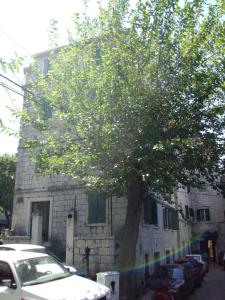 a tree in front of a building with parked cars at Studio Apartment Sretna in Split