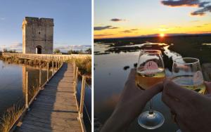 a person holding a glass of wine in front of a tower at Appartement avec SPA Camargue 4 couchages in Saint-Laurent-dʼAigouze