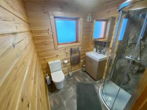 an overhead view of a bathroom with a toilet and a shower at Pine Lodge in Gorebridge