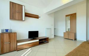 Una sala de estar con un televisor de pantalla plana en la pared. en Apartments Irene, en Grožnjan