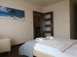 Posteľ alebo postele v izbe v ubytovaní Apartamenty Nad Parsętą Szpitalna 7